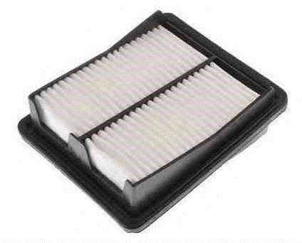 Air Filter (VFA1232)