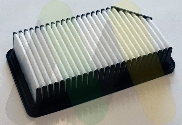 Air Filter (LVFA1666)