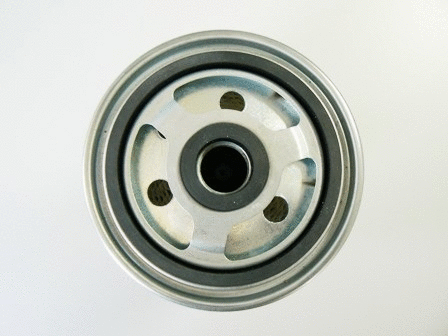 Fuel Filter (VFF457)
