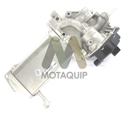 EGR Valve (LVER344)