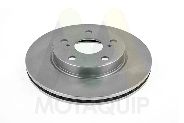 Brake Disc (LVBD1307Z)