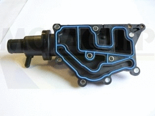 Thermostat, coolant