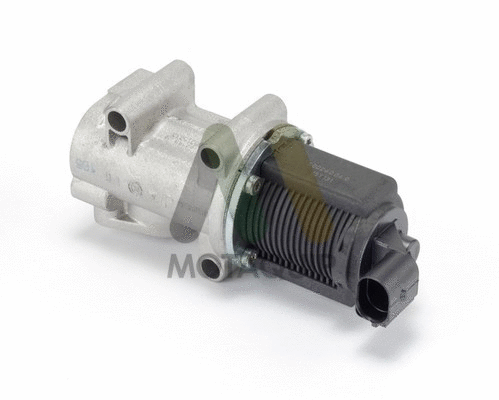 EGR Valve (LVER315)
