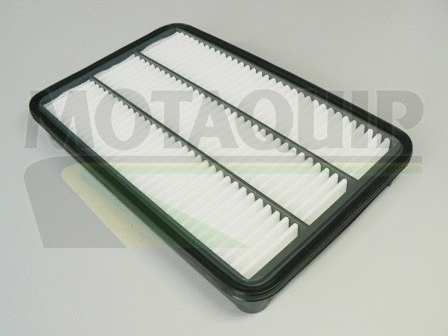 Air Filter (VFA20)