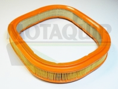 Air Filter (VFA255)