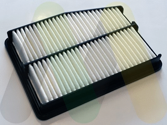 Air Filter (LVFA1667)