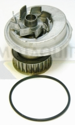 Water Pump, engine cooling