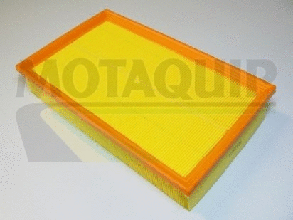 Air Filter (VFA1041)