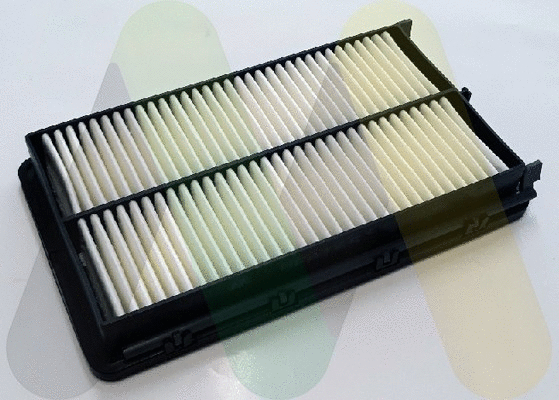 Air Filter (LVFA1653)