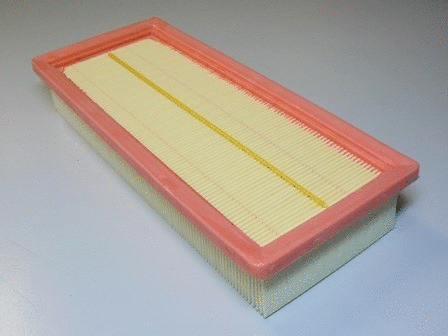 Air Filter (VFA1094)