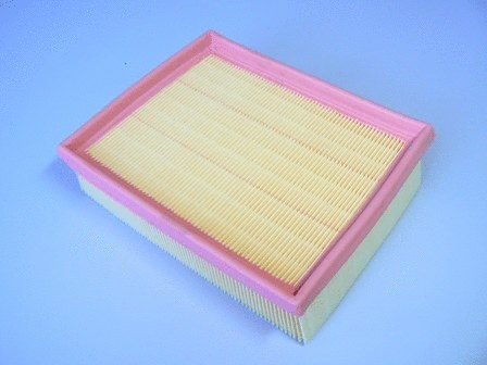 Air Filter (VFA890)