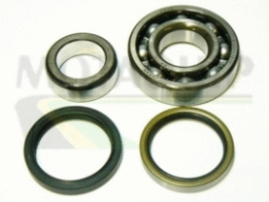 Wheel Bearing Kit (VBK353)