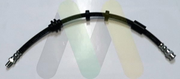 Brake Hose (LVBH1703)