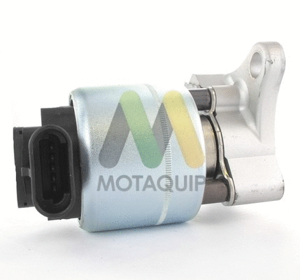 EGR Valve (LVER237)