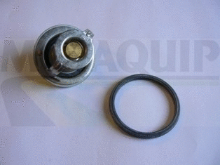 Thermostat, coolant (VTK166)