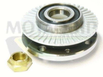Wheel Bearing Kit (VBK360)