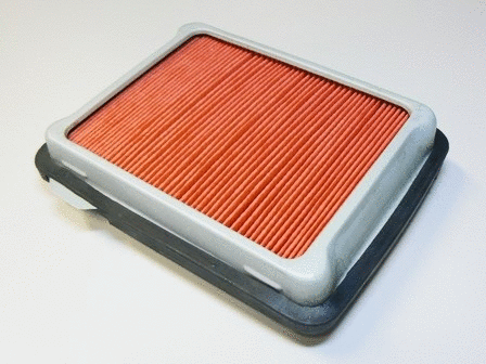 Air Filter (VFA294)