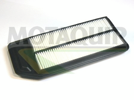 Air Filter (VFA1136)