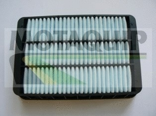 Air Filter (VFA1161)