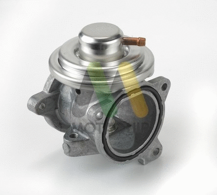 EGR Valve (LVER292)