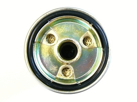 Fuel Filter (VFF387)