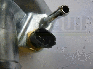 Thermostat, coolant