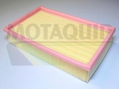 Air Filter (VFA709)