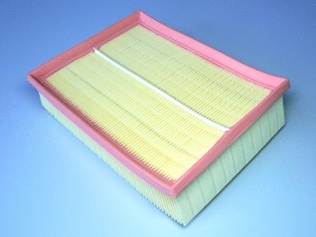 Air Filter (VFA855)