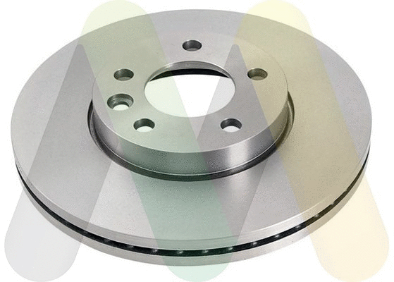 Brake Disc (LVBD1173Z)