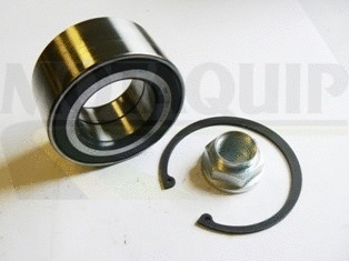 Wheel Bearing Kit (LVBK1619)