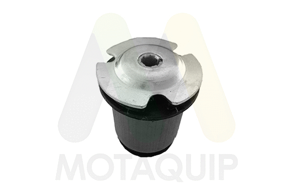 Bushing, axle beam (LVSK1278)
