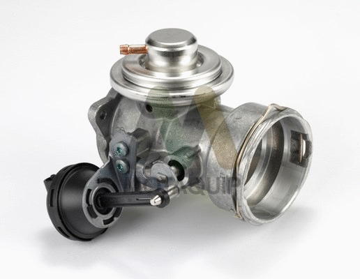 EGR Valve (LVER319)