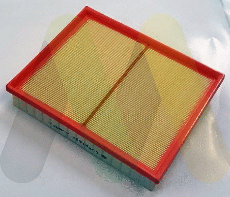 Air Filter (LVFA1651)