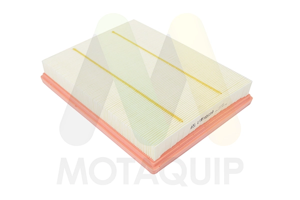 Air Filter (LVFA1699)