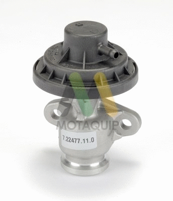 EGR Valve (LVER107)