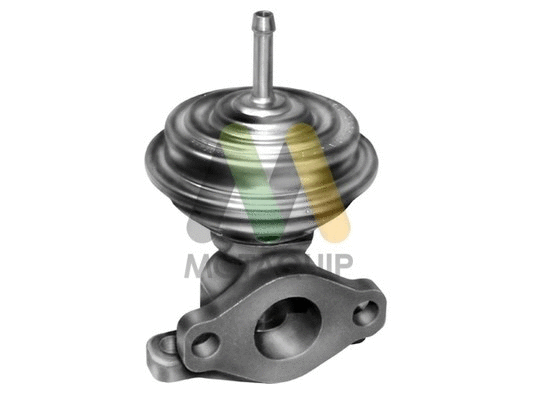 EGR Valve (LVER276)