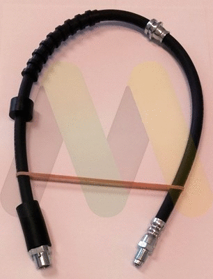 Brake Hose (LVBH1704)