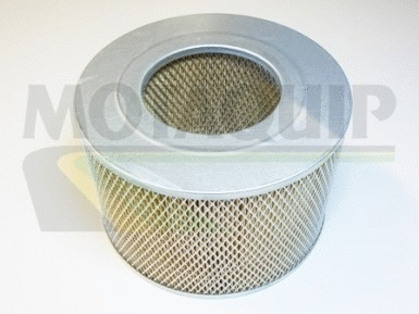 Air Filter (VFA628)