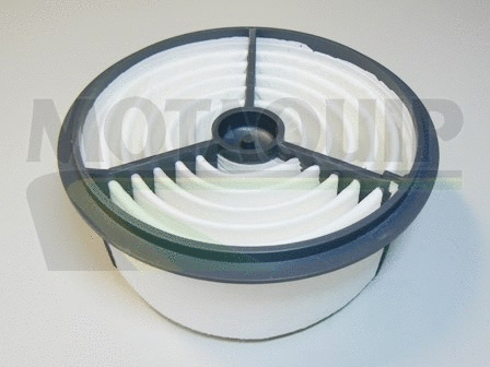 Air Filter (VFA624)
