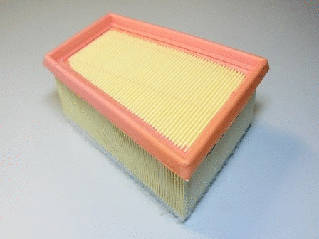 Air Filter (VFA1085)