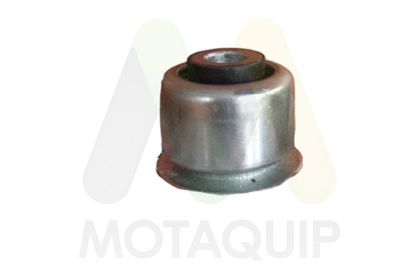 Mounting, control/trailing arm (LVSK1220)