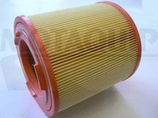 Air Filter (VFA1235)