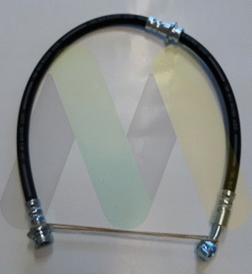 Brake Hose (LVBH1707)