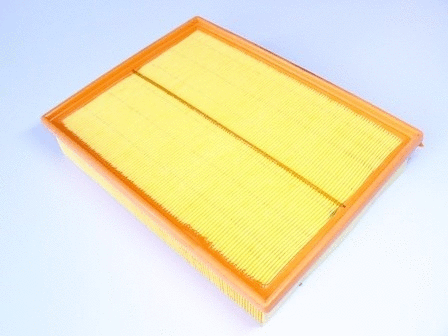 Air Filter (VFA1107)