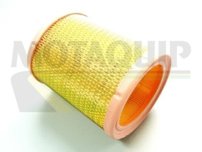 Air Filter (VFA566)