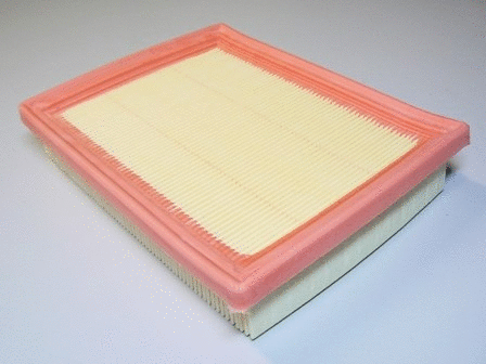 Air Filter (VFA912)