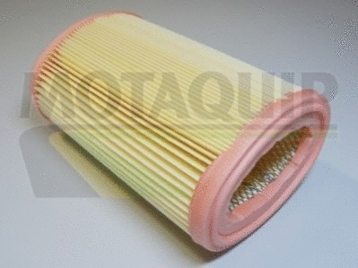 Air Filter (VFA755)