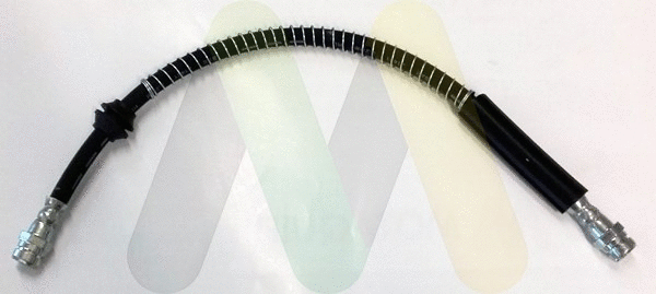 Brake Hose (LVBH1695)