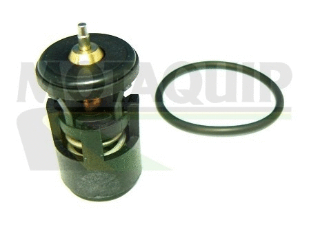 Thermostat, coolant (VTS261)