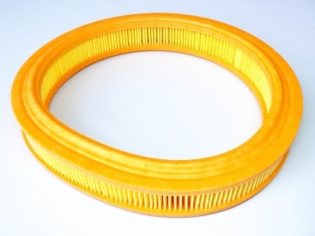 Air Filter (VFA507)